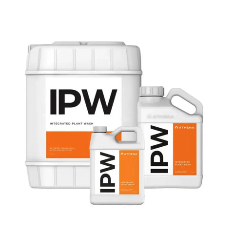 Athena IPW