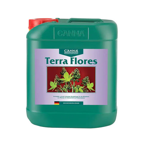 Canna Terra Flores