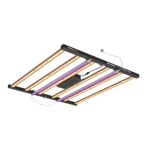 Dimlux Xplore Series LED 730W
