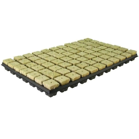 Grodan Anzuchtblöcke 77 Stück/Tray (Mineralwolle)