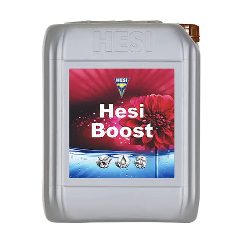Hesi Boost