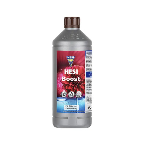 Hesi Boost