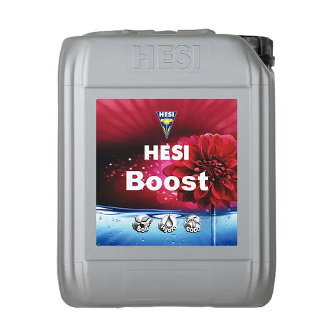 Hesi Boost