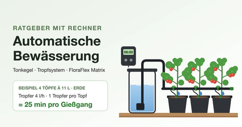 Automatische Bewässerung: Wassertank mit Pumpe und Zeitschaltuhr, Tropfleitung versorgt drei Pflanztöpfe