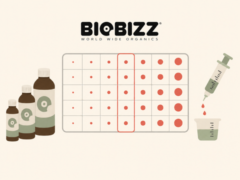 BioBizz Düngeschema: Dünger, Wochenplan und Dosierung im Überblick