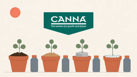 Canna Düngeschema: Terra, Coco, Hydro und Aqua