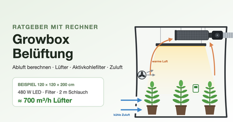 Growbox Belüftung: Growzelt mit Aktivkohlefilter und Rohrventilator, warme Luft steigt zum Filter, kühle Zuluft strömt unten ein