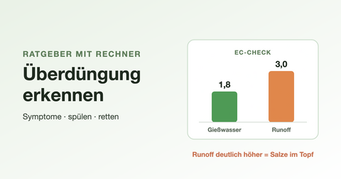 Überdüngung erkennen – EC-Wert von Gießwasser und Runoff im Vergleich