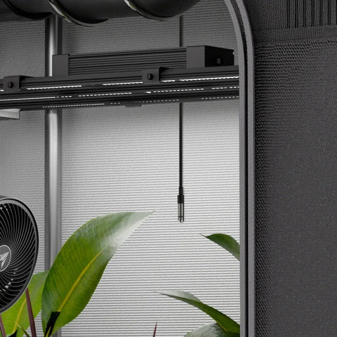 AC Infinity Klimasensor für Controller AI+ und UIS-Geräte, 6 m