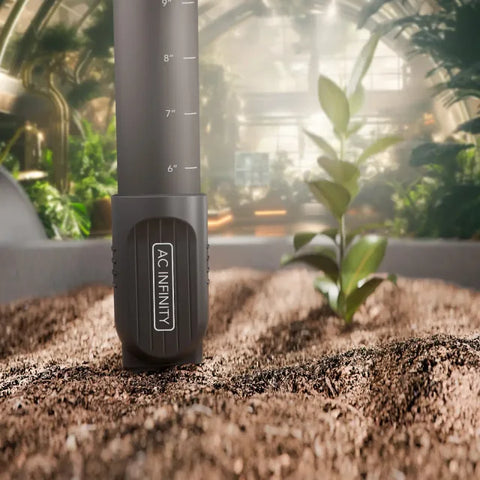 AC Infinity Bodensensor mit Verlängerung in einem Pflanzbeet im Gewächshaus