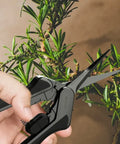 AC Infinity Präzisionsschere beim Formschnitt an einem Bonsai