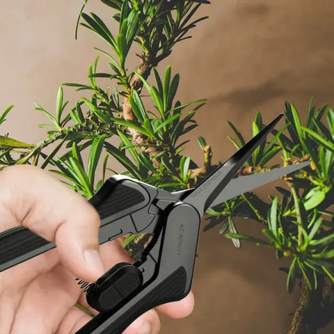 AC Infinity Präzisionsschere beim Formschnitt an einem Bonsai
