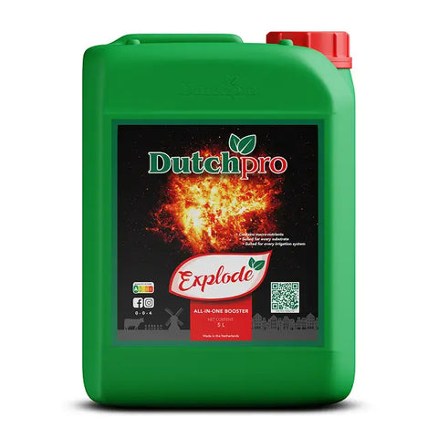 DutchPro Explode Wachstumsbooster