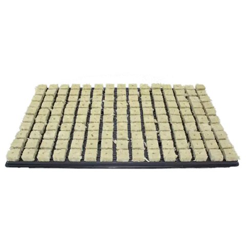 Grodan Anzuchtblöcke 150 Stück/Tray (2 x 2cm)