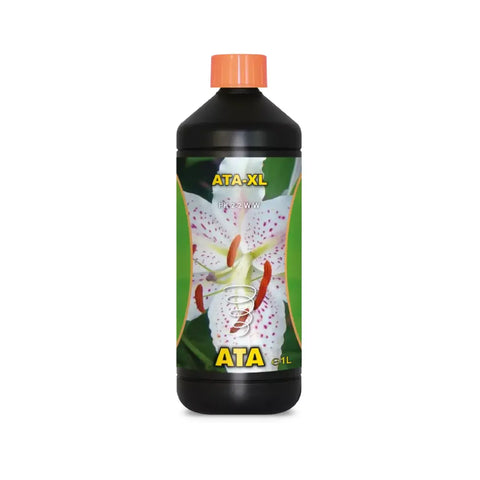 Atami ATA XL