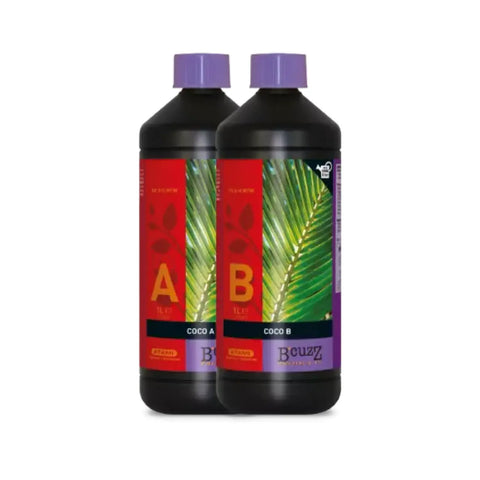 Atami B'Cuzz Coco A+B