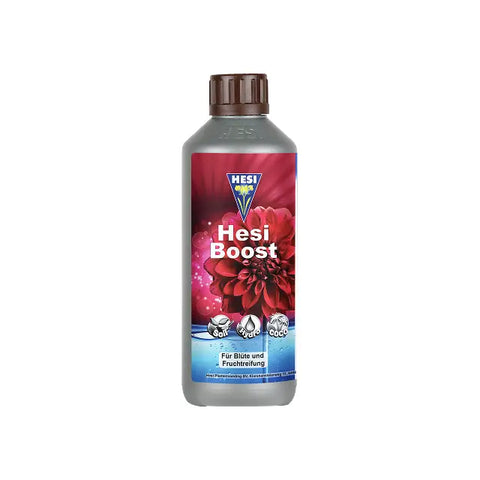 Hesi Boost